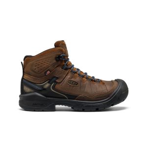 Men's Targhee IV LTR Waterproof Work Boot (Carbon Toe) | Bison/Black